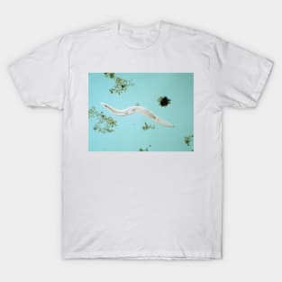 Microscopic free-living nematode worm from garden soil T-Shirt